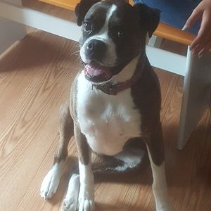 Meet your Posher, Cole